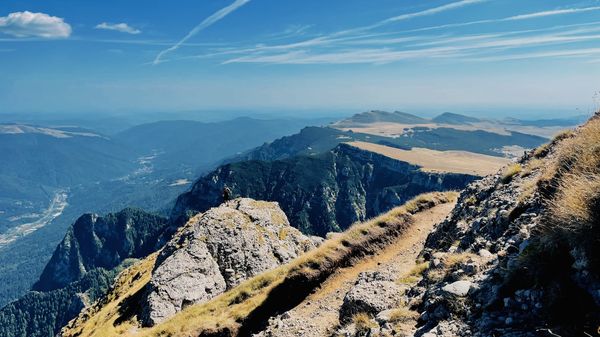 Abenteuer in der Wildnis