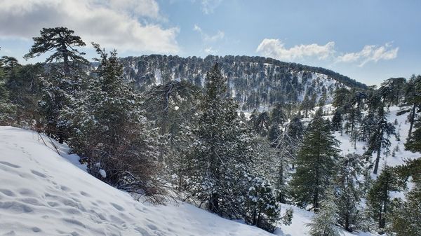 Wandern und Natur pur in Zyperns Gebirge