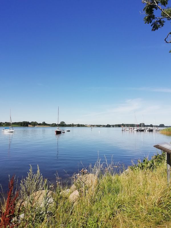 Natur pur an der Schlei erleben