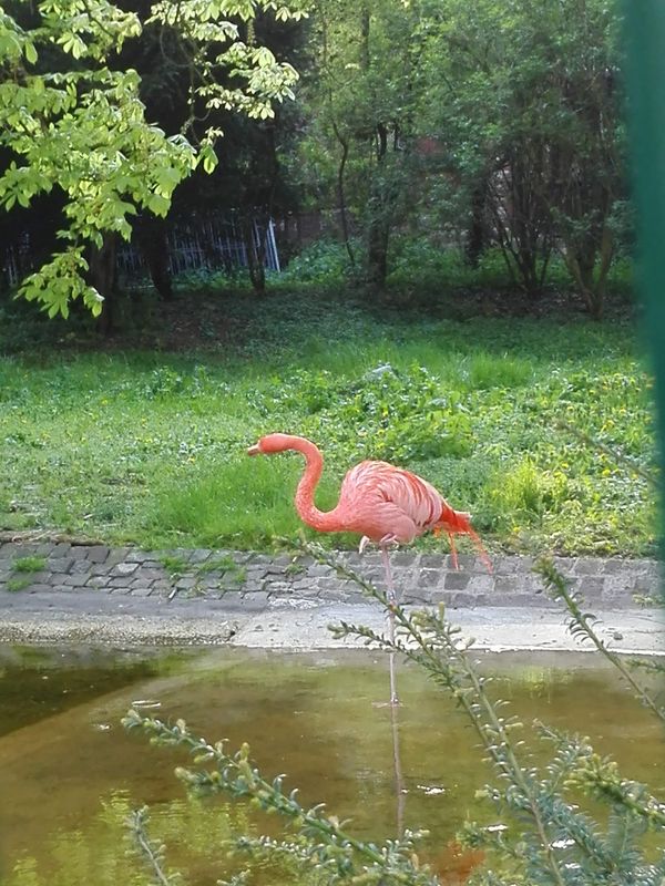 Entspannung und Natur in der Stadt