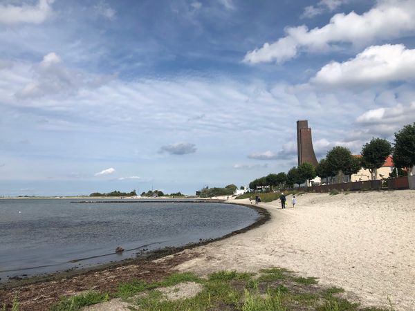 Entspannte Strandtage mit Hund