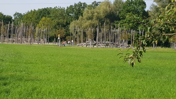 Familienausflug in die Natur