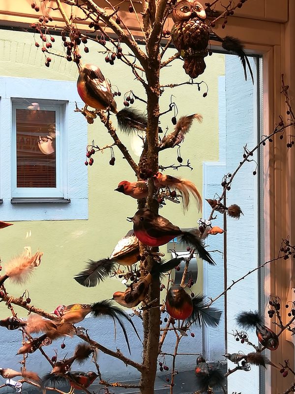 Stilvolles Café mit ausgezeichnetem Kaffee