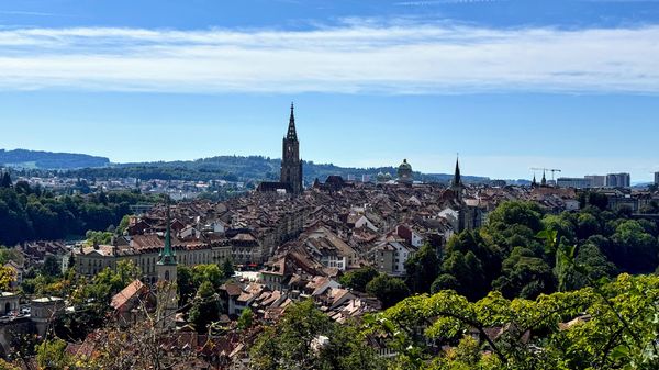 Blühende Aussichten über Bern