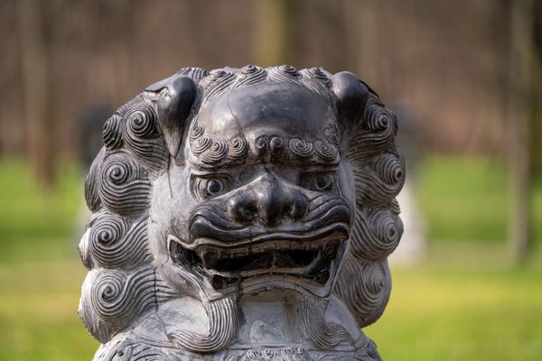 Idyllisches Gartencafé unter Kirschbäumen