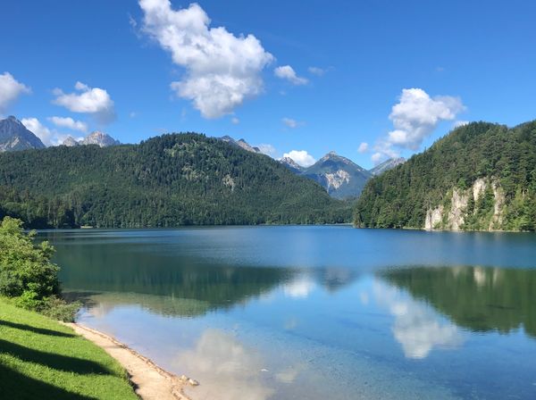 Idyllische Momente am malerischen Schwansee