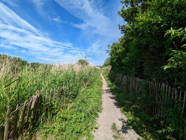 Naturerlebnis an der Küste