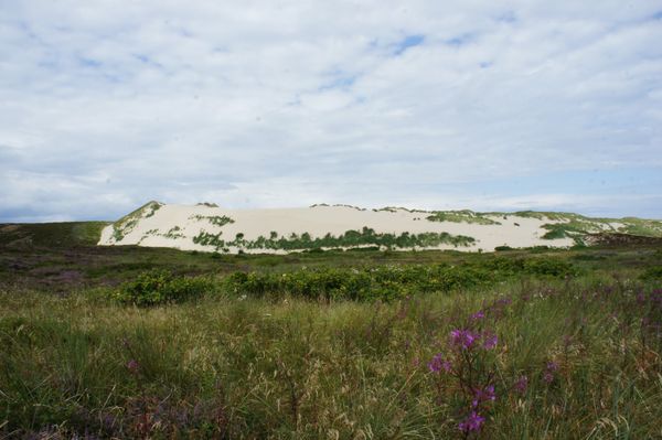 Naturwunder im Norden Sylts