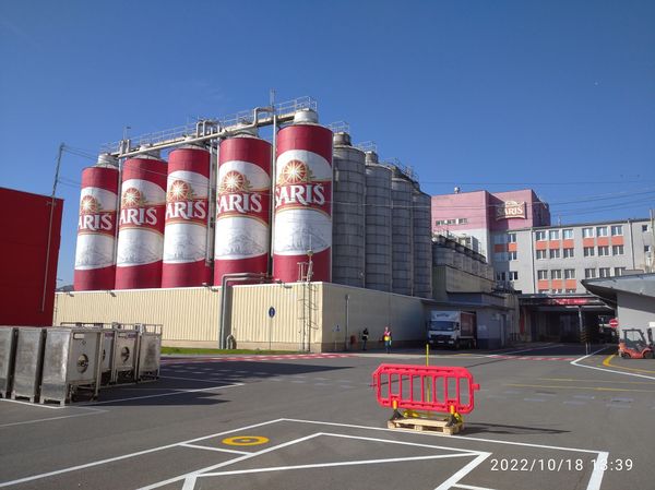 Einblicke in die Kunst des Bierbrauens