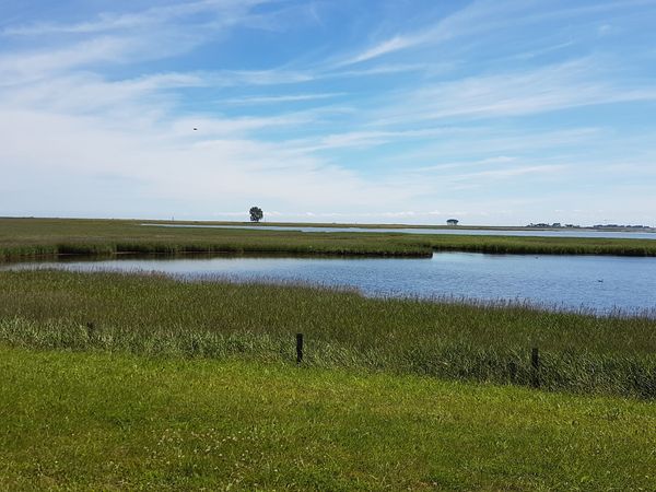 Natur hautnah erleben und verstehen