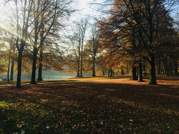 Geheime Insel im Stadtpark entdecken