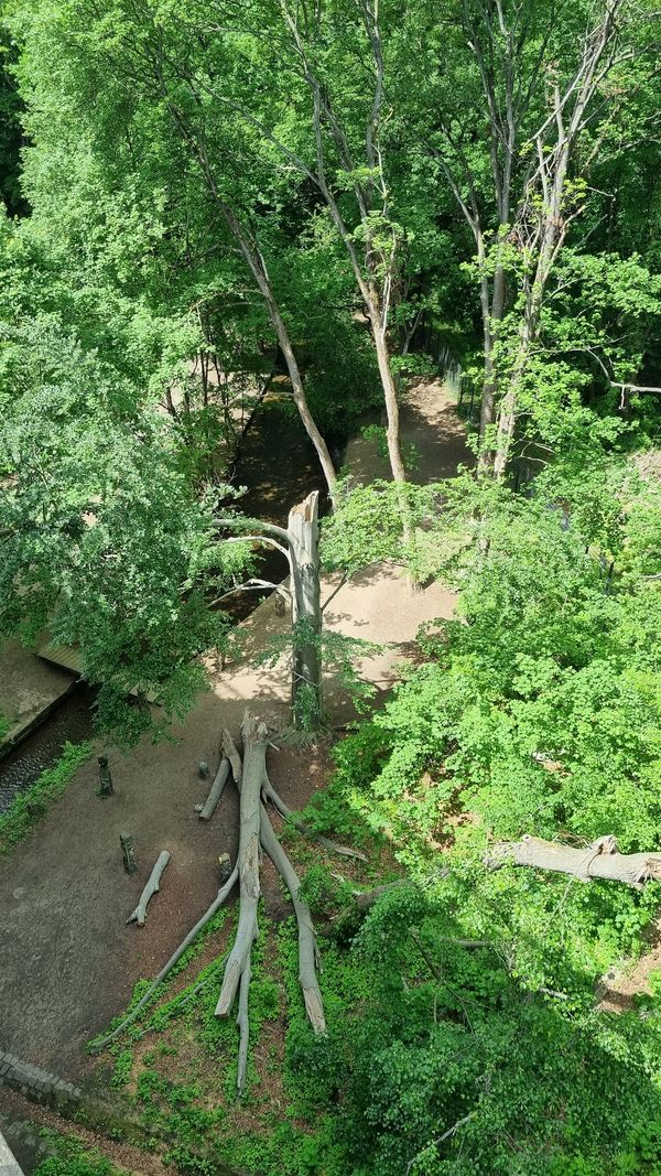 Naturerlebnis in Stadtnähe