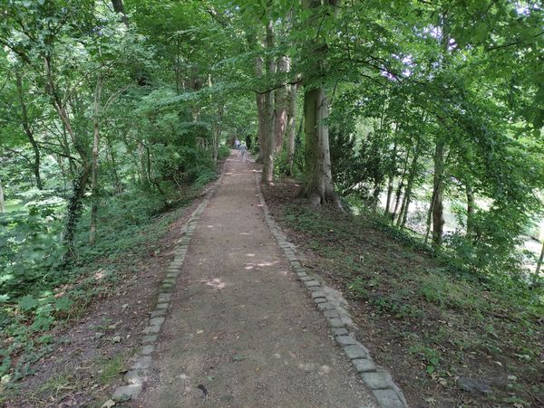 Grüne Oase in der Stadt