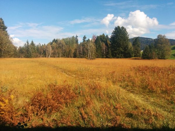 Geführte Naturtouren in einzigartiger Umgebung