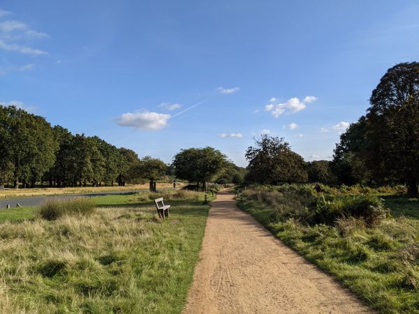 Wildtiere beobachten im größten Park Londons