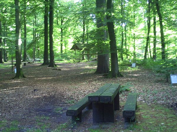 Entspannung pur im historischen Wald