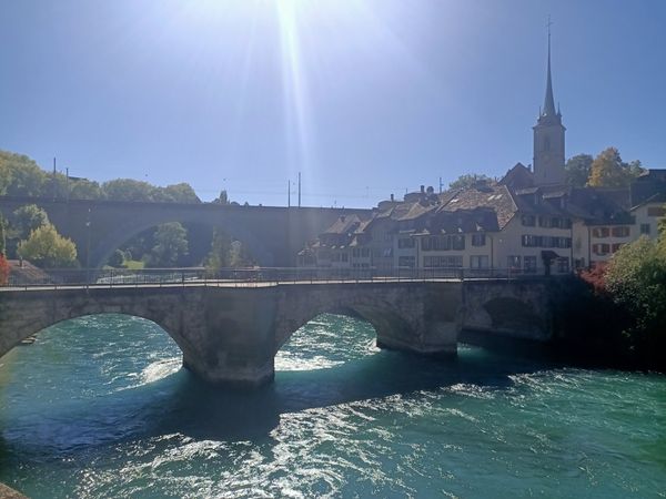 Erfrischendes Bad in der Aare