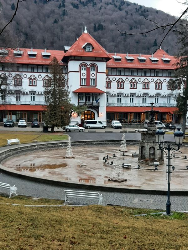 Entspannung in grüner Oase