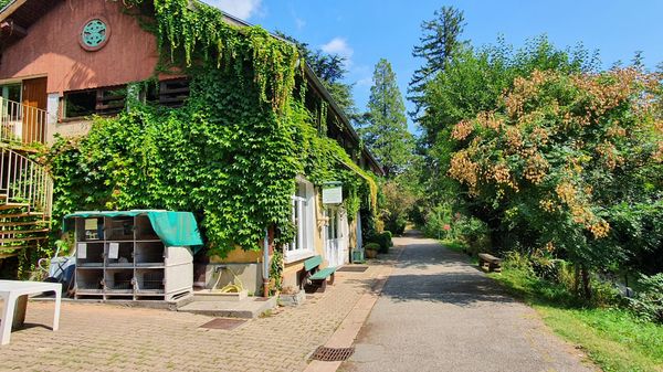 Wildtiere in Meylan beobachten