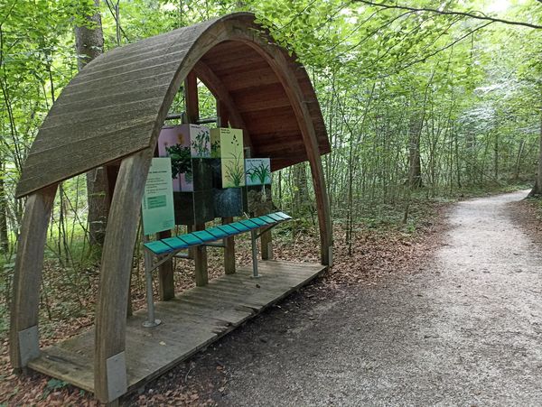 Natur pur im Nationalpark Gesäuse