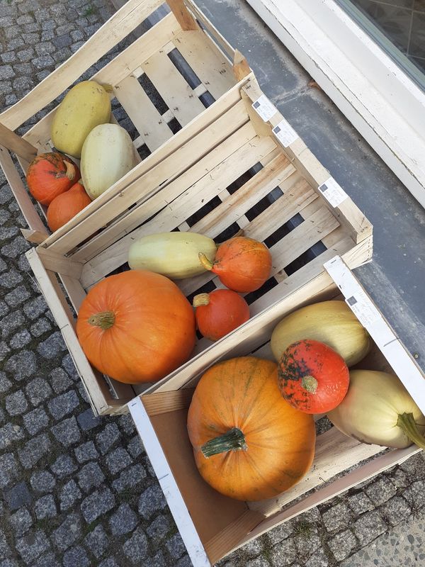 Vegane Köstlichkeiten und mehr