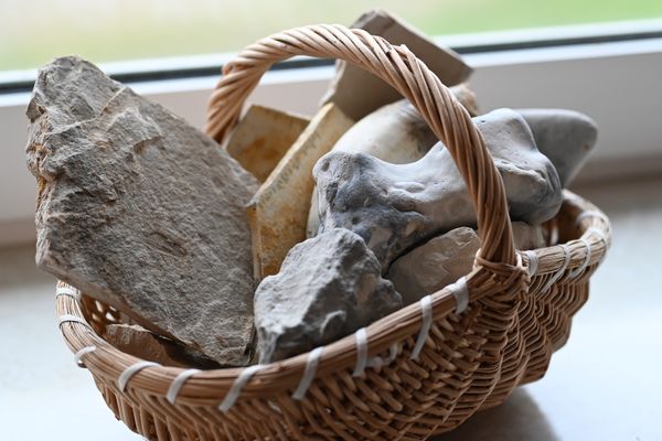 Bauernhofleben hautnah erleben