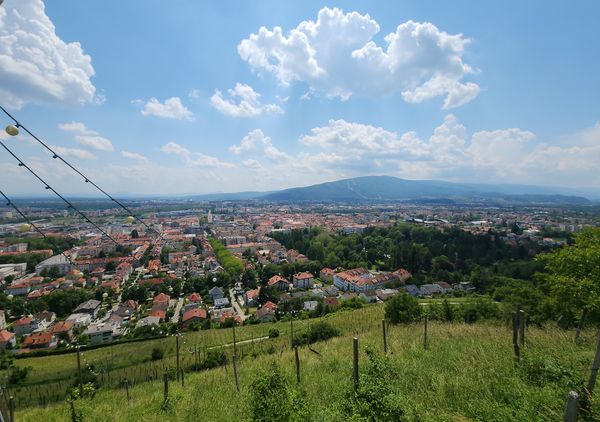 Atemberaubende Aussichten nach einer Wanderung durch Weinreben