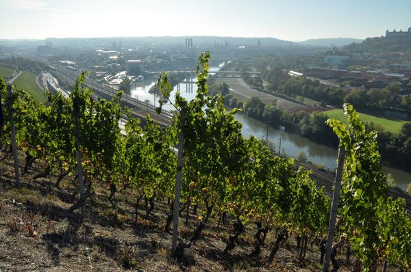 Weinprobe in historischem Ambiente