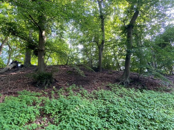 Naturabenteuer südlich der Elbe