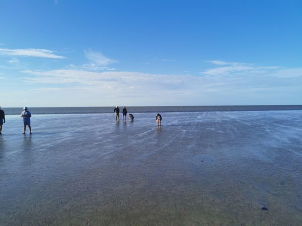 Abenteuer im UNESCO-Weltnaturerbe