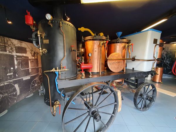 Erlebe die lila Pracht der Provence