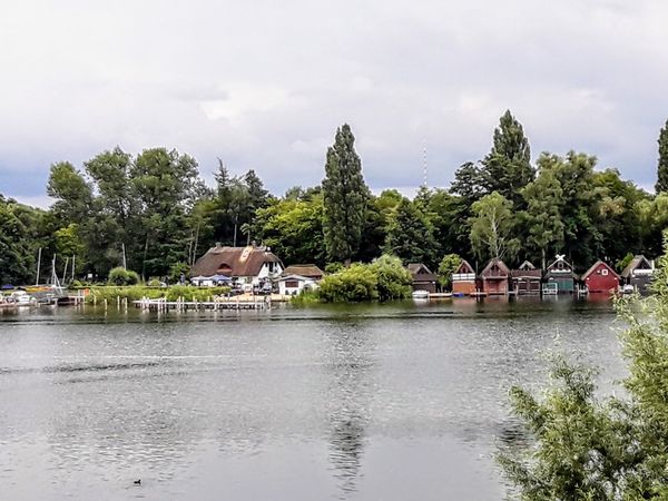 Idyllische Seeufer für Naturgenießer