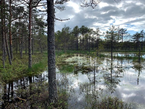 Abenteuer im Lahemaa Nationalpark