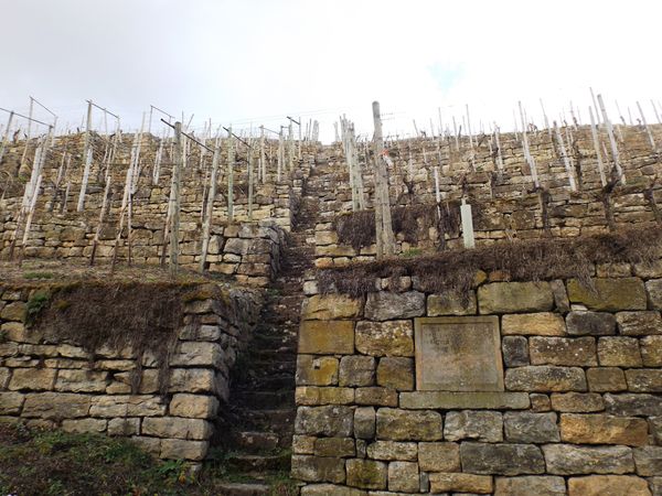 Erkunde historische Mauern mit atemberaubender Aussicht