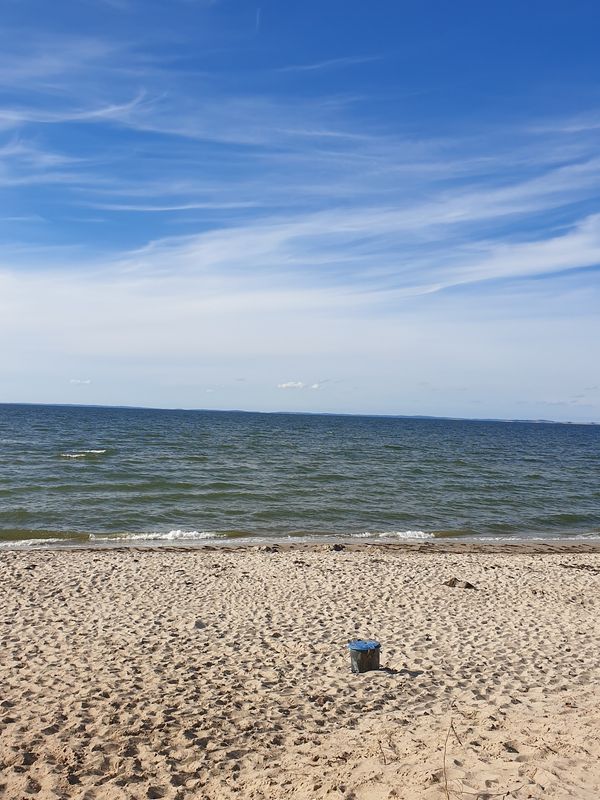 Spaß für Vierbeiner am Wasser
