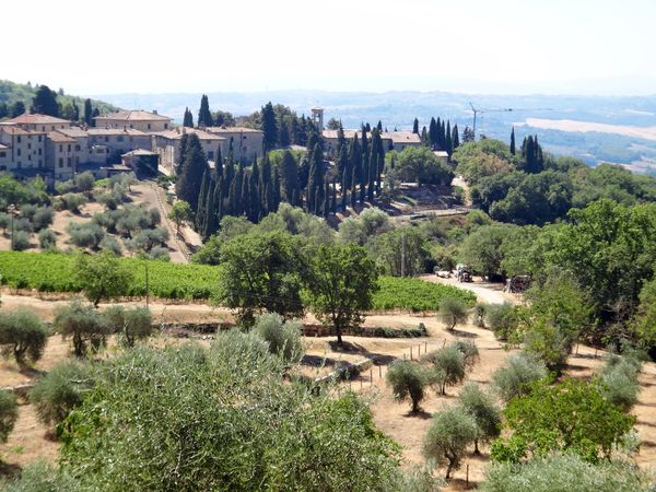 Weinproben in der malerischen Chianti-Region