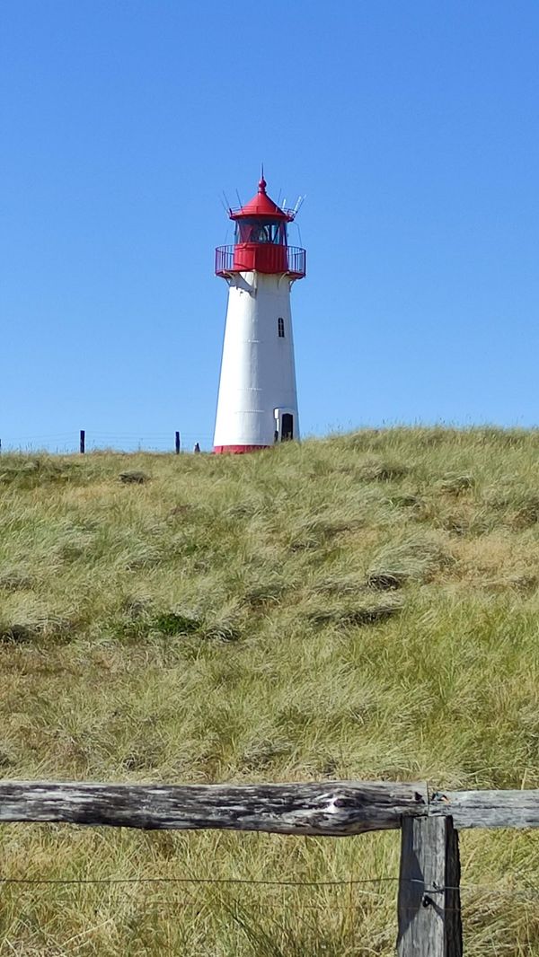Natur pur am nördlichsten Punkt