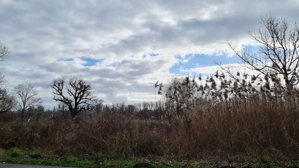 Familienausflug in die Natur