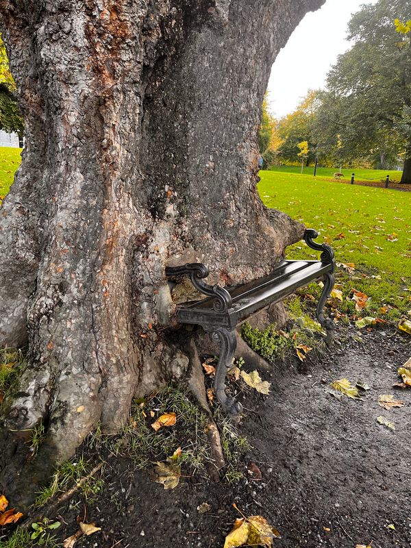 Natur verschlingt Kultur