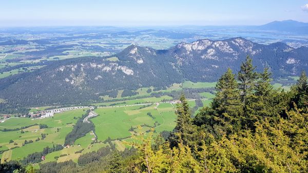 Orchideen und Aussichten genießen