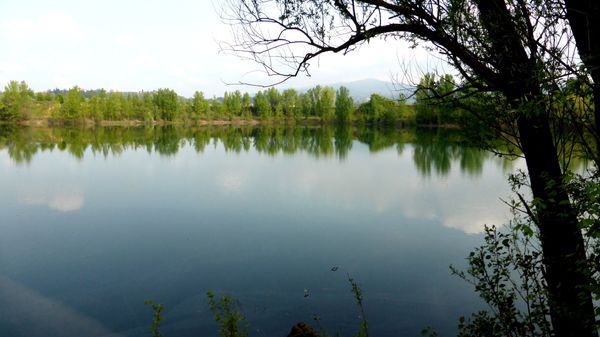 Entdecke unberührte Natur in Arnovecchio