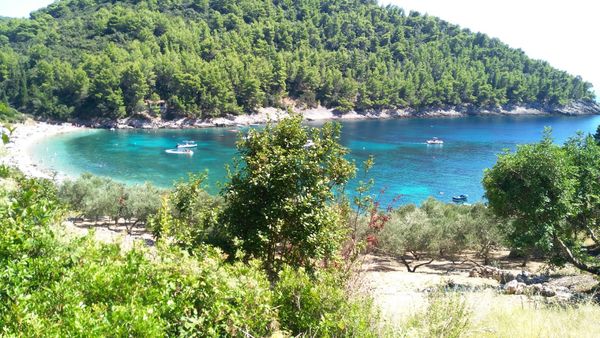 Weinverkostung im Paradies
