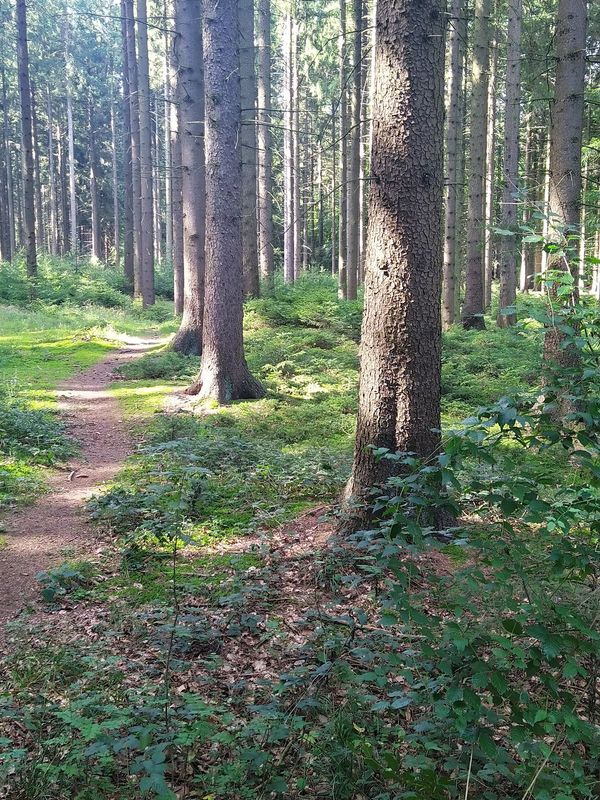 Atemberaubende Aussicht über Stolberg genießen