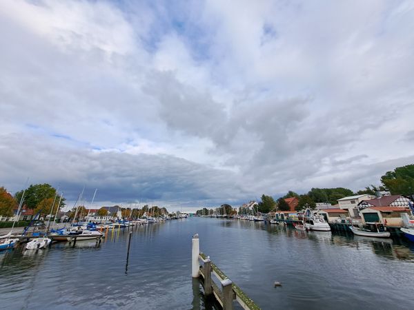 Frischer Fisch mit Aussicht