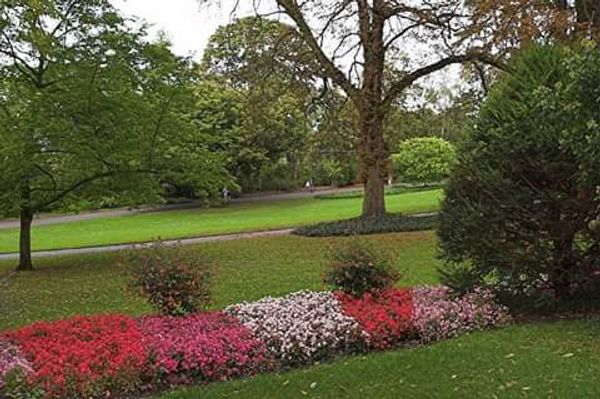 Entspannung und Natur in der Stadt