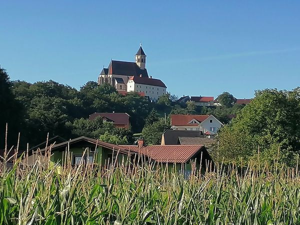 Gotische Meisterwerke entdecken