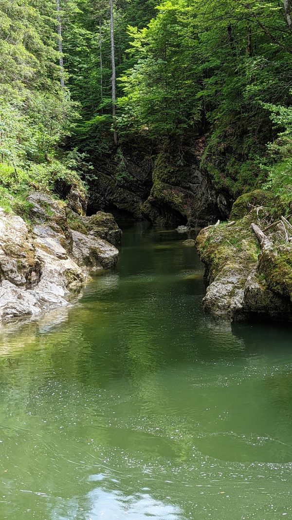 Erlebe die spektakuläre Walchenklamm