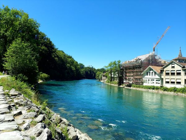 Bären in Bern besuchen