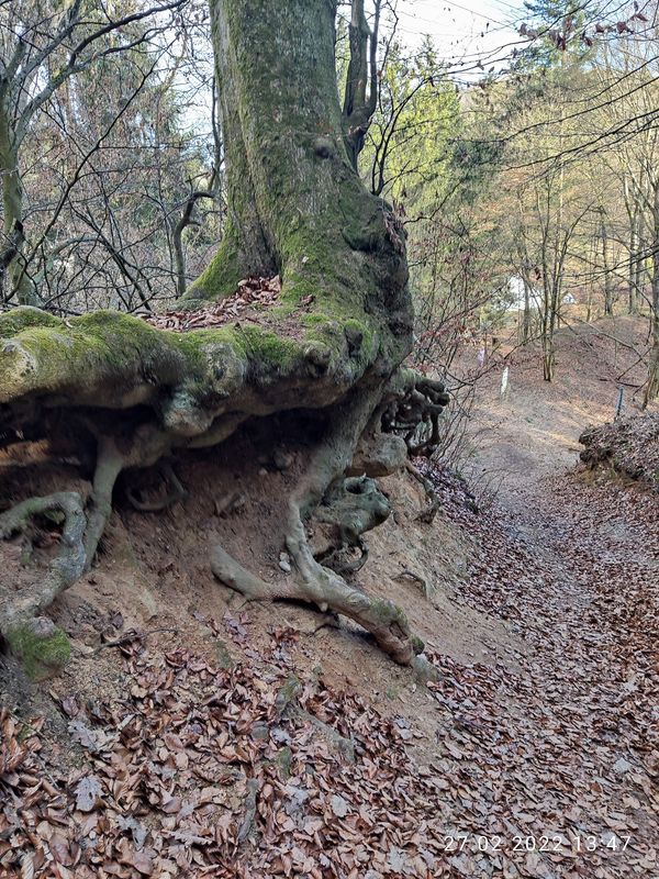 Entdeckungsreise auf dem Geopfad