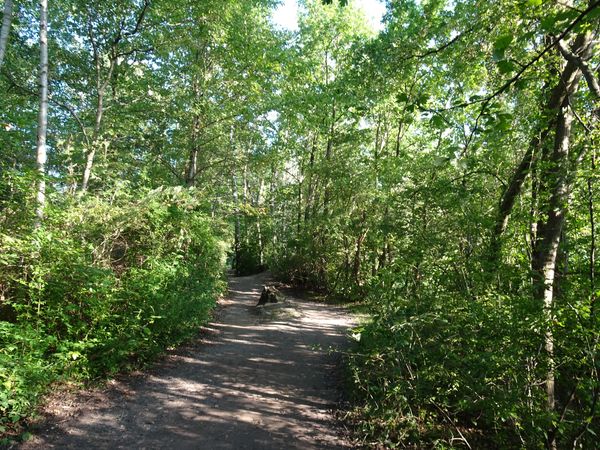 Entspannung und Natur im größten Park der Stadt